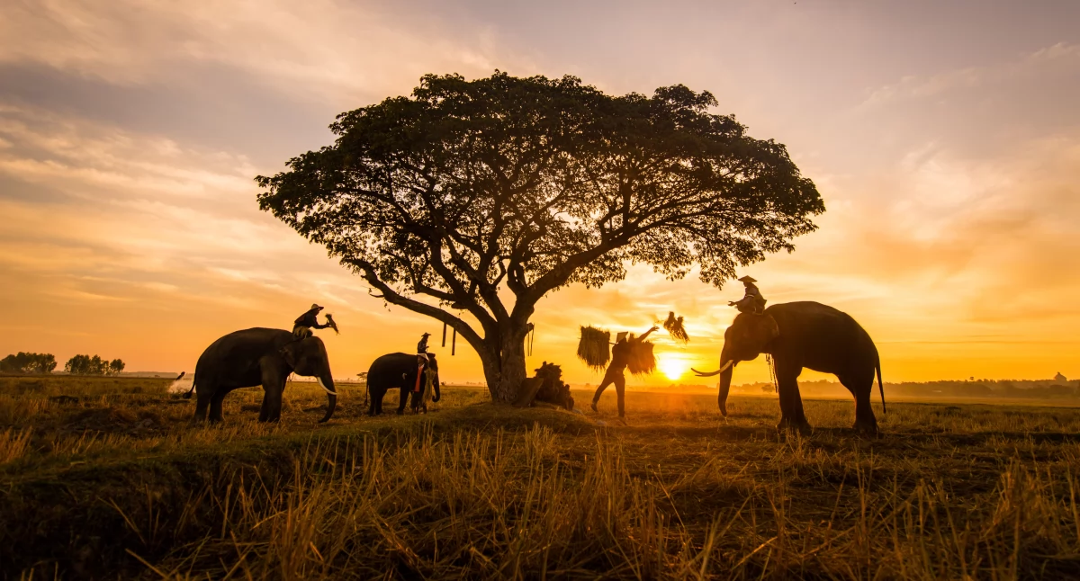 Egorzow.pl, Niezapomniana egzotyczna podróż Tanzania Zanzibar - zdjęcie, fotografia