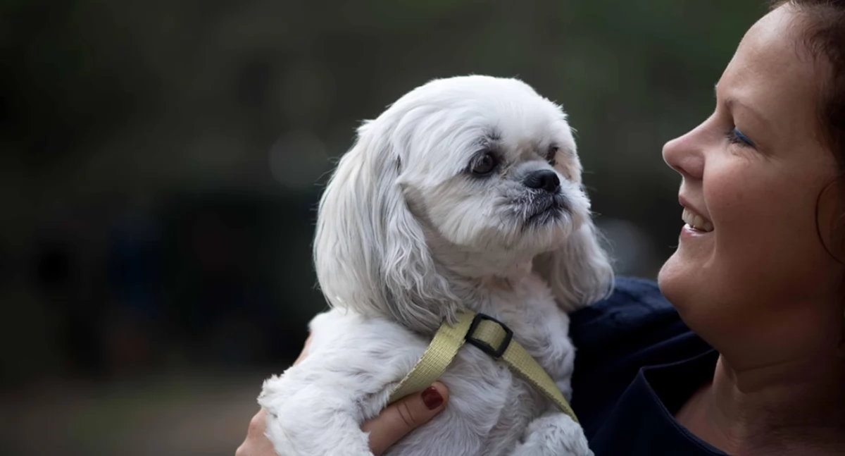 Egorzow.pl, żyje kundelek genetyka opieka suplementacja wpływają długość życia - zdjęcie, fotografia