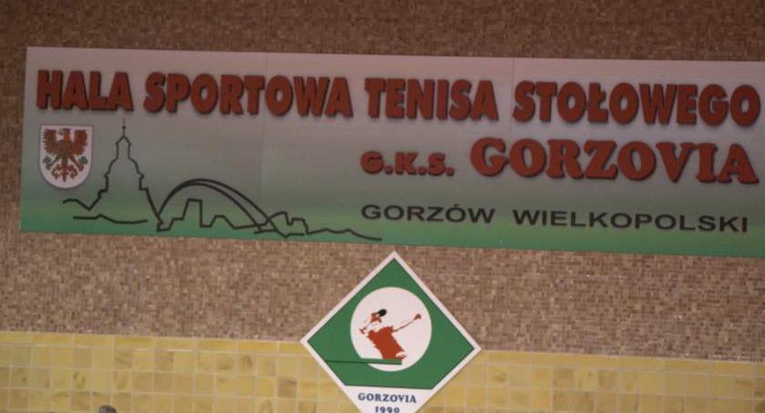 Gorzovia wraca na zwycięską ścieżkę
