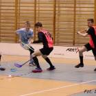 Fotka nr 2 z 17