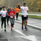zdjęcie nr 49