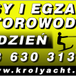 zdjęcie nr 