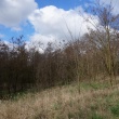 zdjęcie nr 