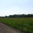 zdjęcie nr 