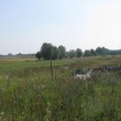 zdjęcie nr 