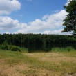 zdjęcie nr 