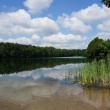 zdjęcie nr 