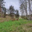 zdjęcie nr 
