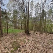 zdjęcie nr 