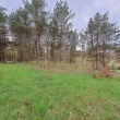 zdjęcie nr 