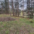 zdjęcie nr 