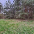 zdjęcie nr 