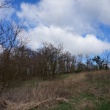 zdjęcie nr 