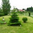 zdjęcie nr 