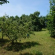 zdjęcie nr 