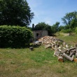 zdjęcie nr 