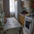 zdjęcie nr 