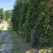 zdjęcie nr 