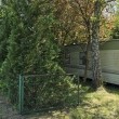 zdjęcie nr 