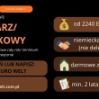 zdjęcie nr 