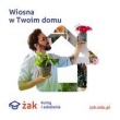 zdjęcie nr 
