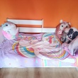 zdjęcie nr 