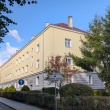 zdjęcie nr 