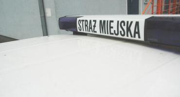 Czy straż miejska jest w Gorzowie potrzebna?