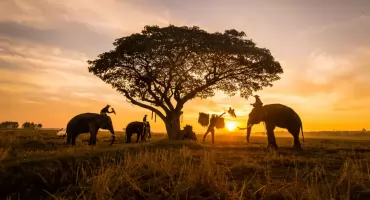 Niezapomniana egzotyczna podróż – Tanzania i Zanzibar     