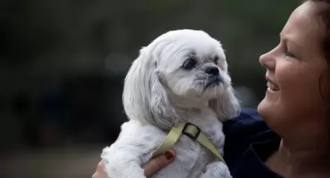 Ile żyje kundelek – jak genetyka, opieka i suplementacja wpływają na jego długość życia     
